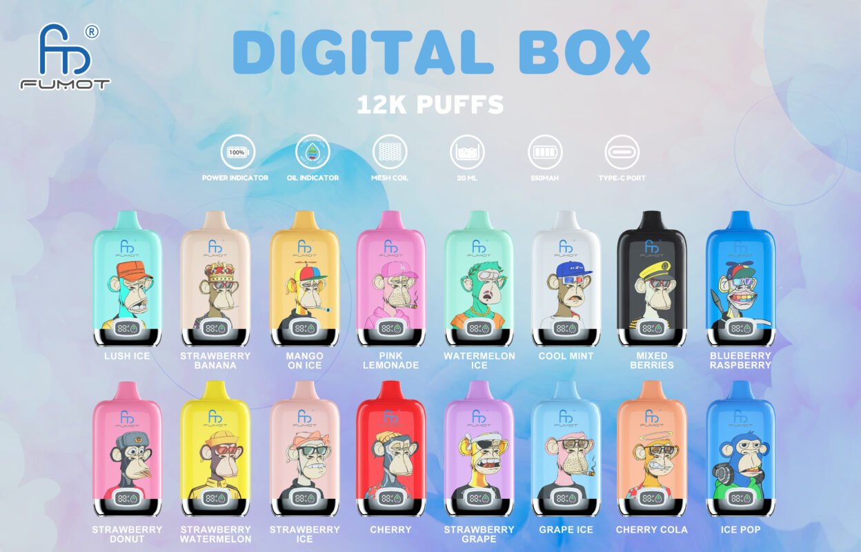 RandM Digital Box 12000