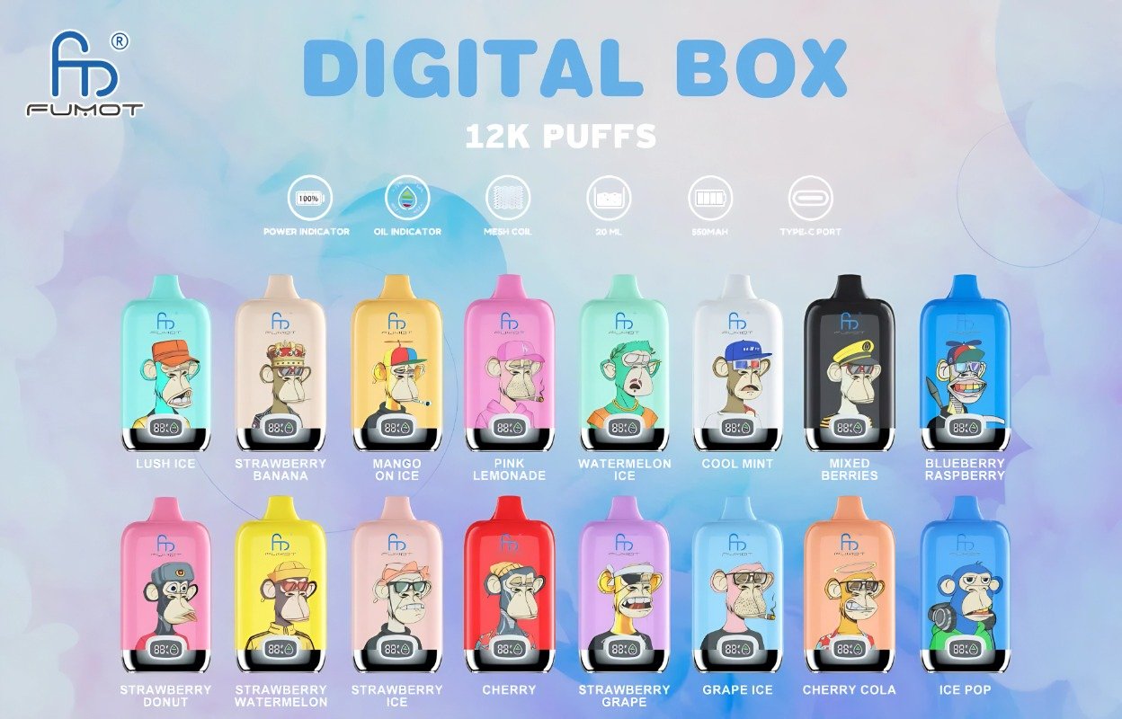 RandM Digital Box 12000